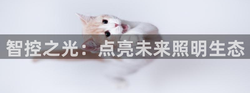 云顶国际旅行社