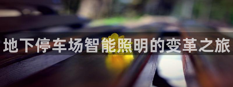 云顶集团优惠申请大厅