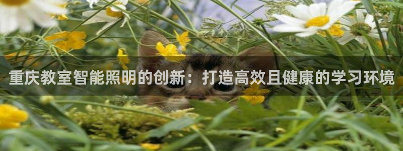 云顶yy