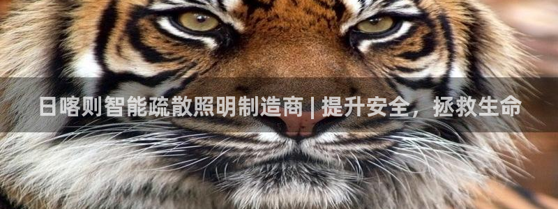 云顶国际比赛