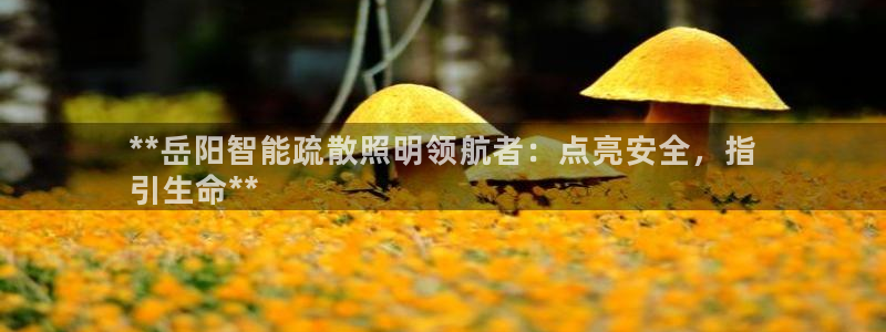 云顶国际cq9