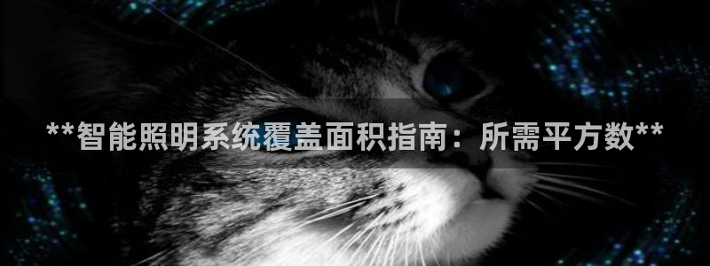 云顶app官网