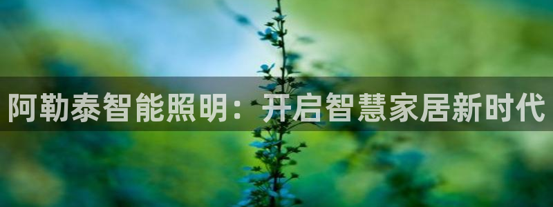 云顶国际app官网下载