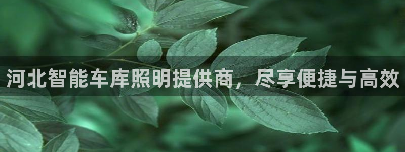 云顶国际高中学费多少钱一年