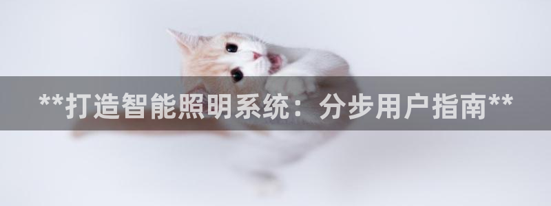 云顶国际大酒店停车场收费