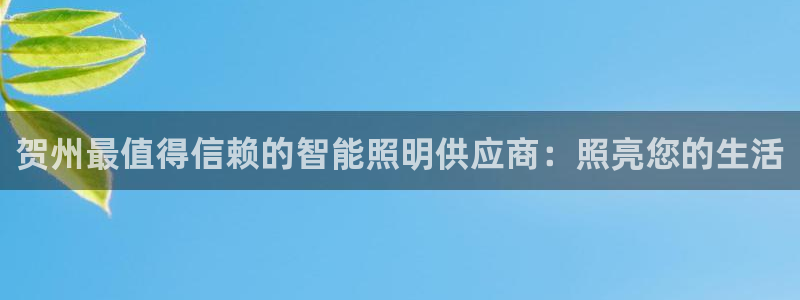 官网云顶电子游戏网站