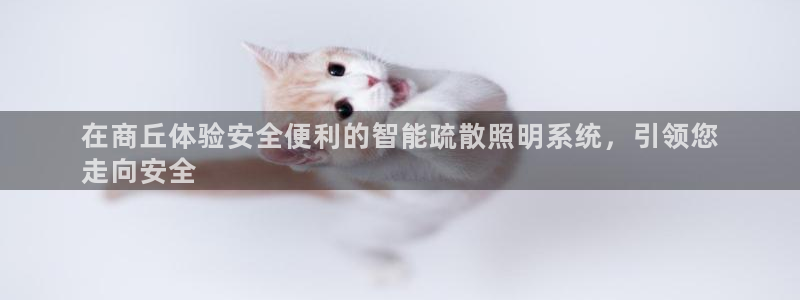 云顶电竞app怎么样
