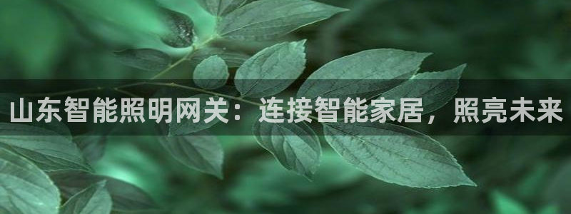 云顶国际酒店老板是谁