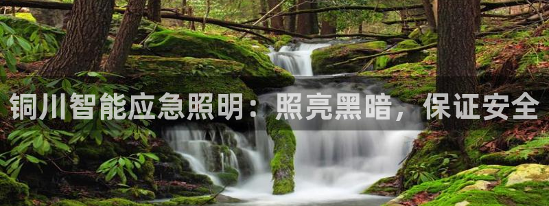 云顶国际培训中心学费
