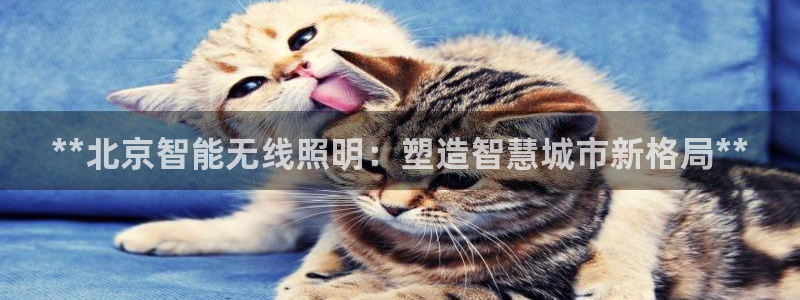 云顶国际服s9什么时候更新的