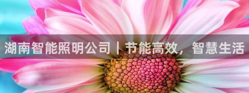 云顶国际实业有限公司