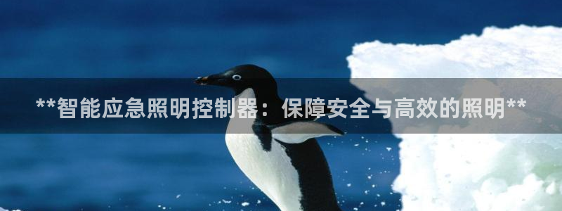 云顶国际App下载