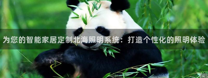 云顶集团下载