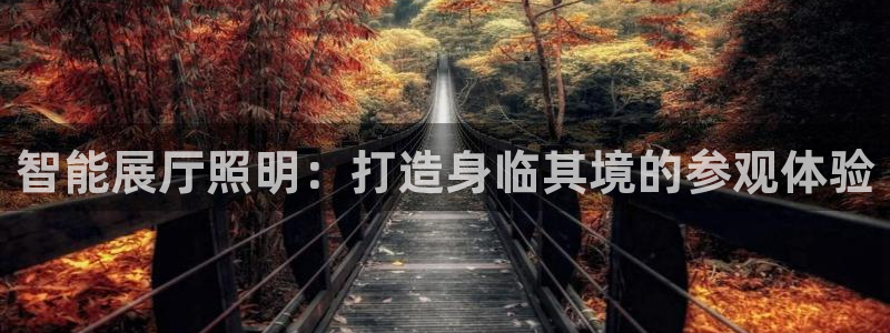 云顶国际官方网站下载手机版