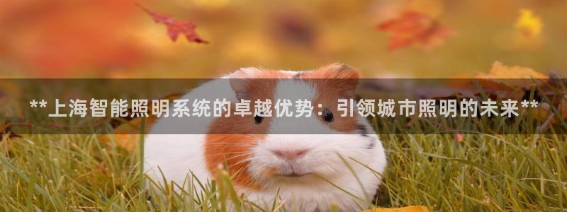 云顶国际商业广场停车收费标准