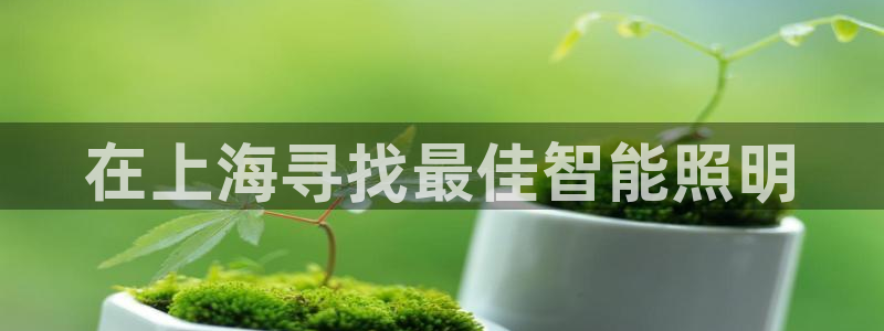 云顶国际平台怎么样