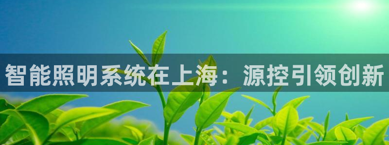 云顶集团林东简介
