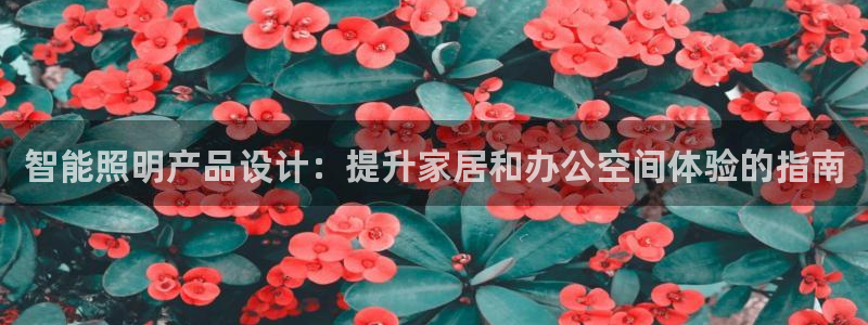 2322云顶国际手机版