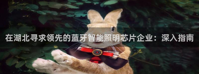 云顶国际网页版官网