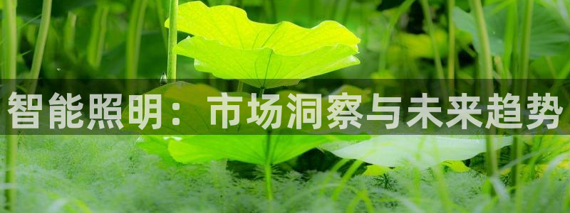 云顶国际图片