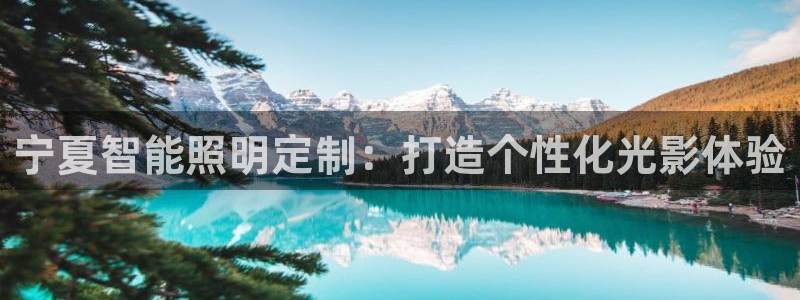 云顶国际软件