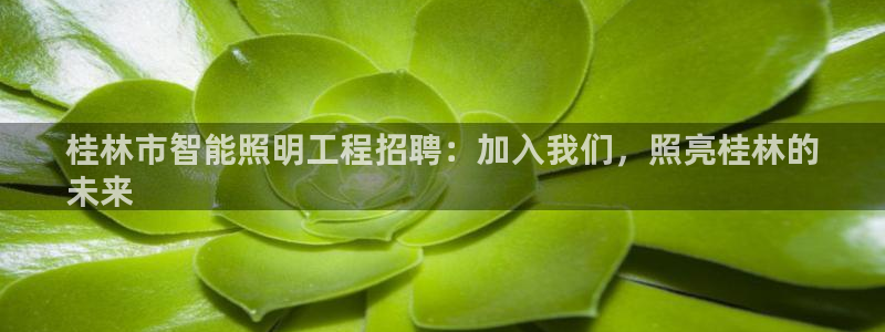 云顶集团公司 英文