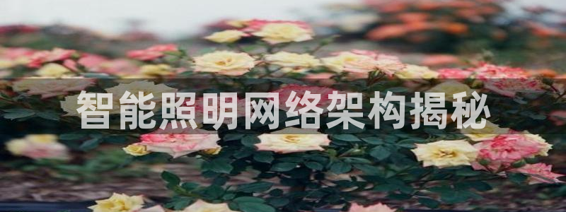 云顶国际电子游戏怎么玩