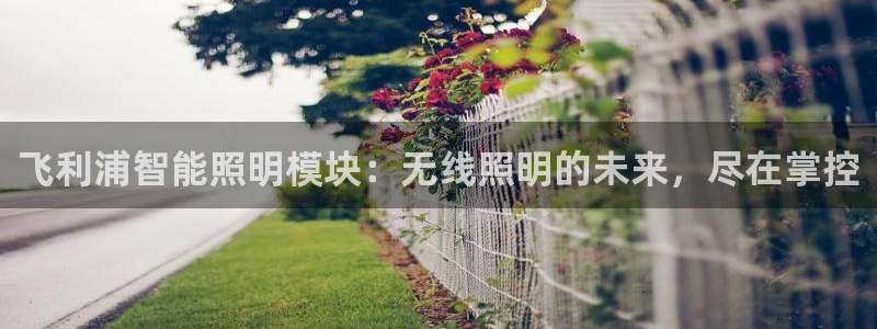 云顶国际软装公司怎么样知乎