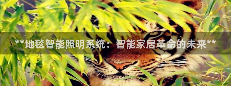 云顶国际app官方网站