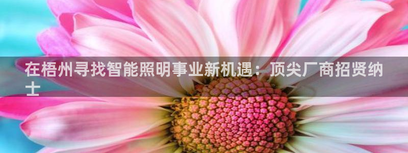 2322云顶国际手机版