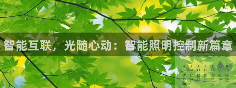 云顶国际物业电话：智能互联，光随心动：智