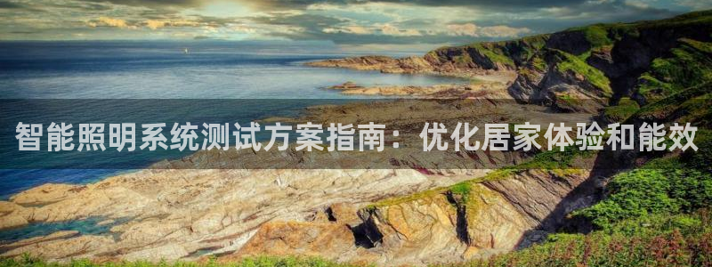 云顶国际服有中文吗：智能照明系统测试方案